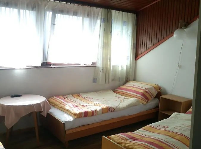 Anna Hunor Πανσιόν